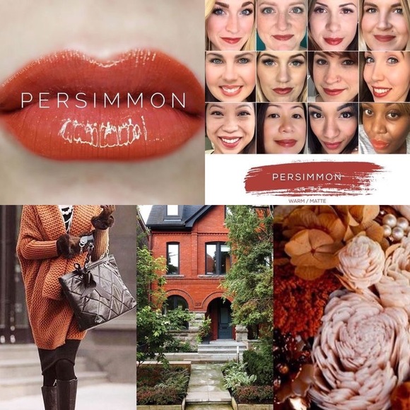 🔥Host Pick🔥 Lipsense by Sengence. Shade: Persimmon. NWT - Picture 2 of 3